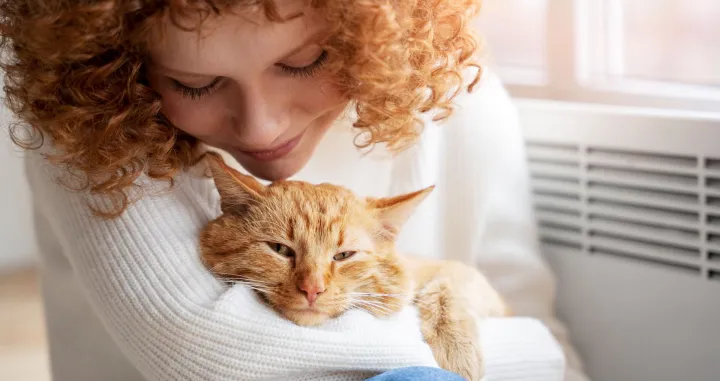 Zašto nabaviti mačku?//