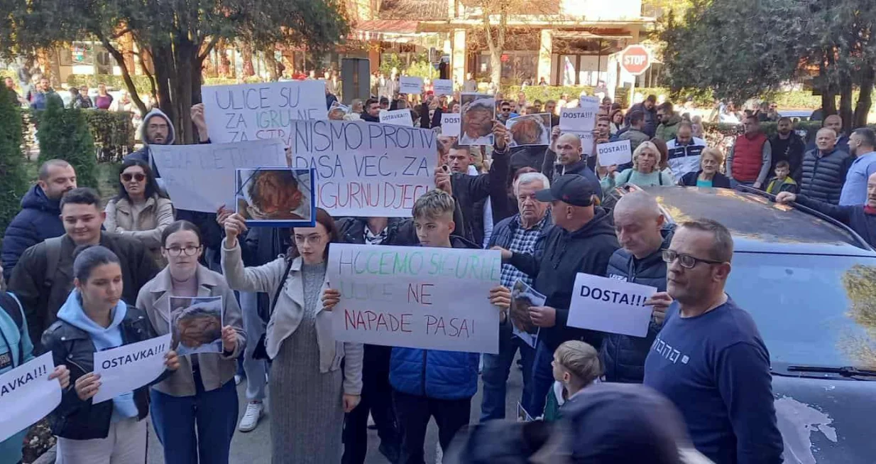 Protest, Goražde, napad psa lutalice na dječaka, vlast, reakcija/Elma Geca