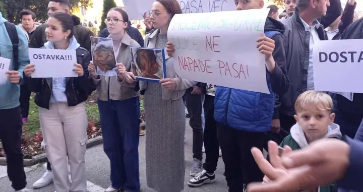 Protest, Goražde, napad psa lutalice na dječaka, vlast, reakcija/Elma Geca