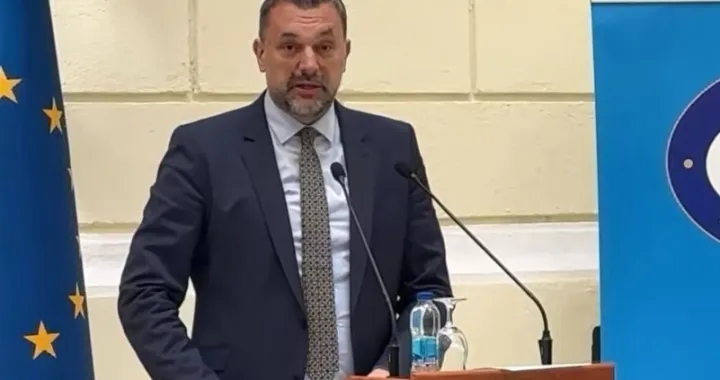 Elmedin Konaković/Screenshot/Screenshot 