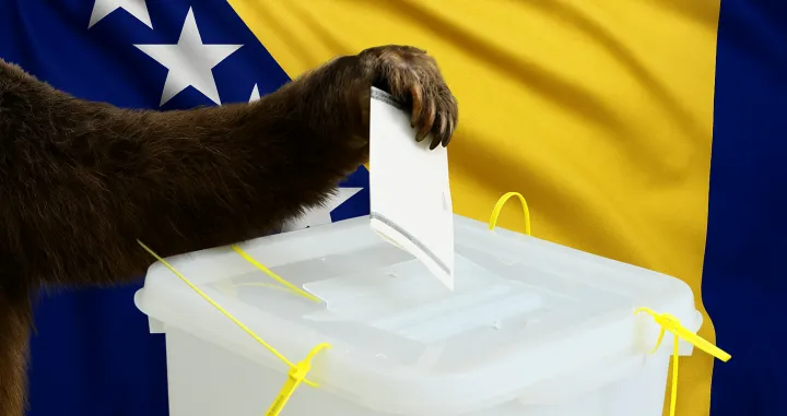 Medvjed glasa/Chatgpt