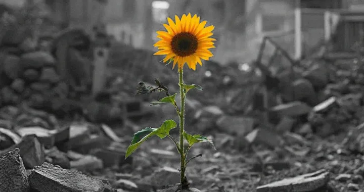 vizual za kolumnu faruka šehića, Idemo dalje!/Benjamin Krnić