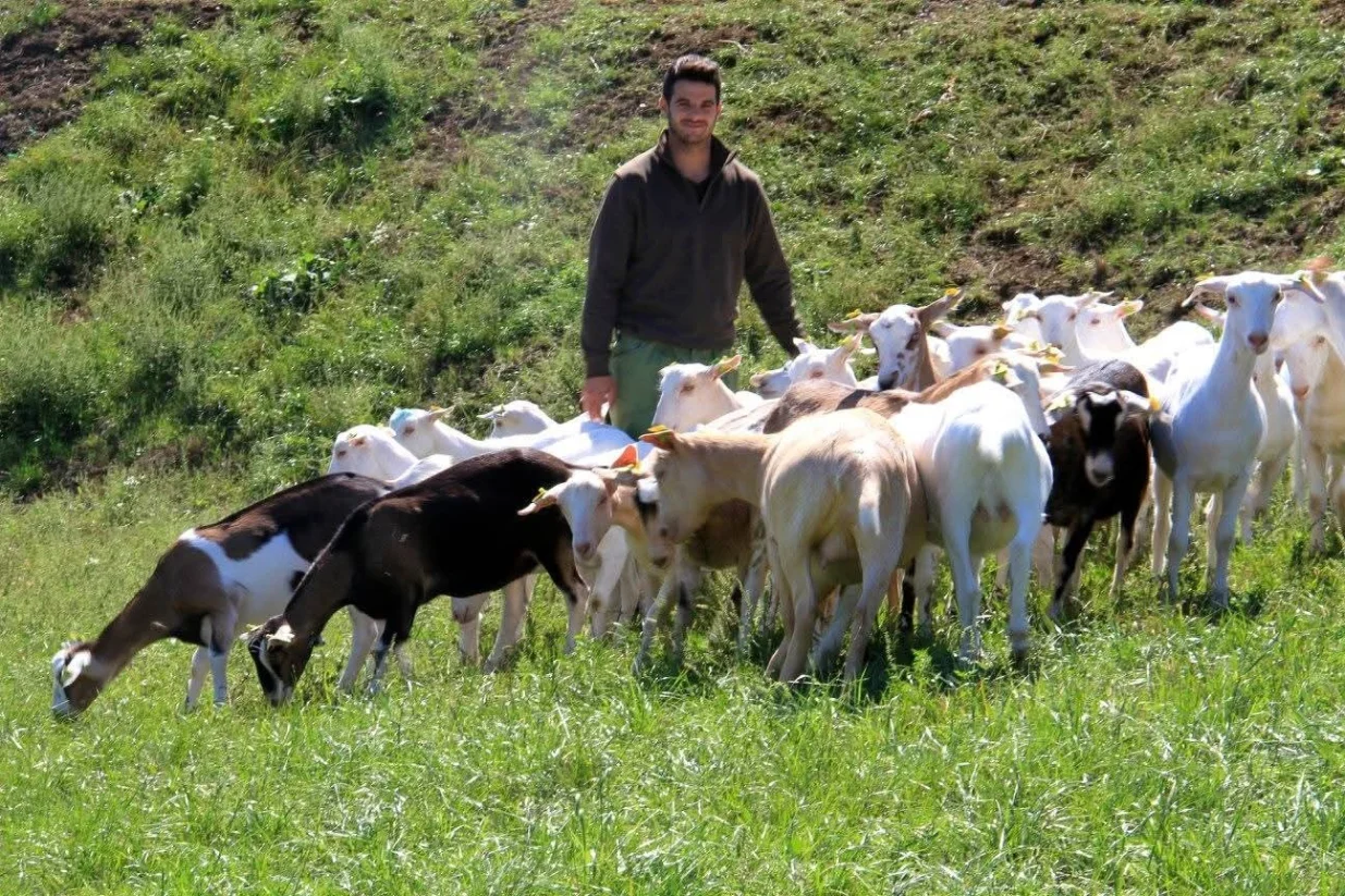 Farma koza Nana Kaas/