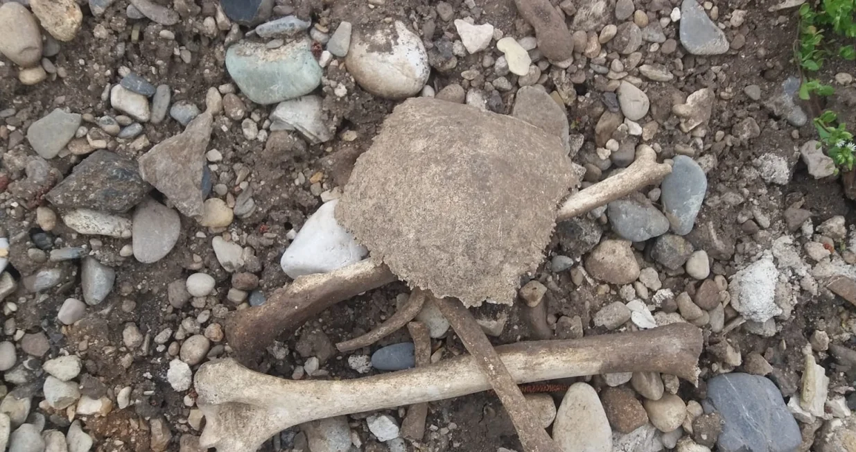 Ljudske kosti, kost, pronalazak kostiju/Facebook