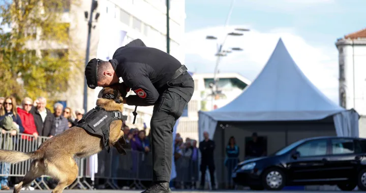 prezentacijs vještina K9 jedinica iz BiH/Damir Deljo