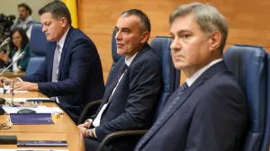 Predstavnički dom PSBiH/Fena