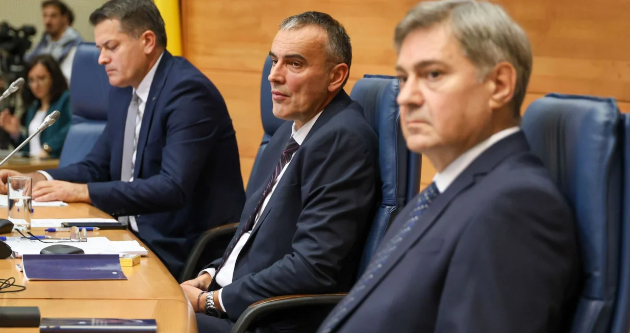 Predstavnički dom PSBiH/Fena