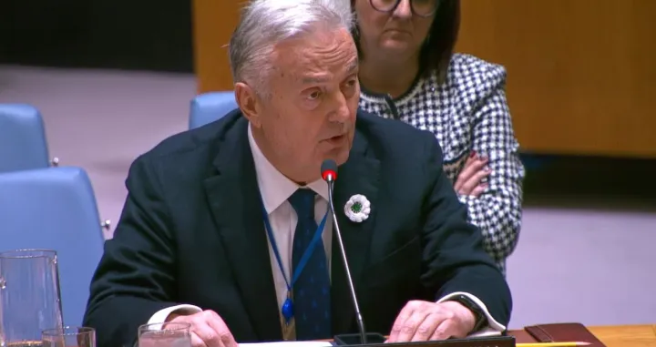 Lagumdžija osudio nastup srbijanskog ambasadora/Screenshot/