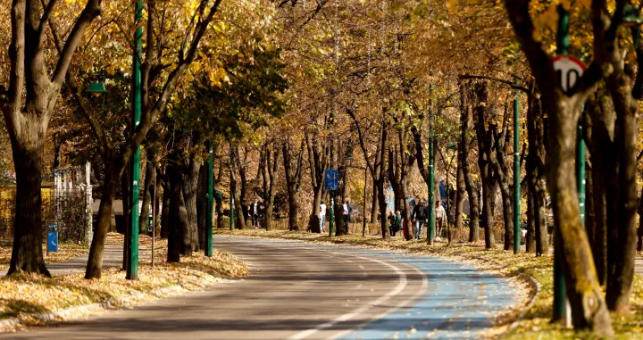 jesen, sunčano, bolje jeseni, jesen u sarajevu,/Damir Deljo