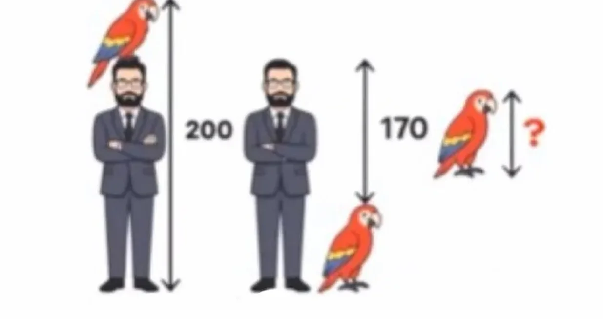 Papagaj, visina, matematički zadatak/