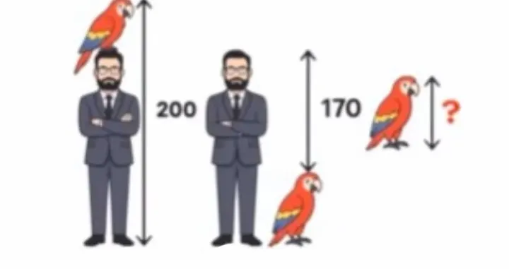 Papagaj, visina, matematički zadatak/