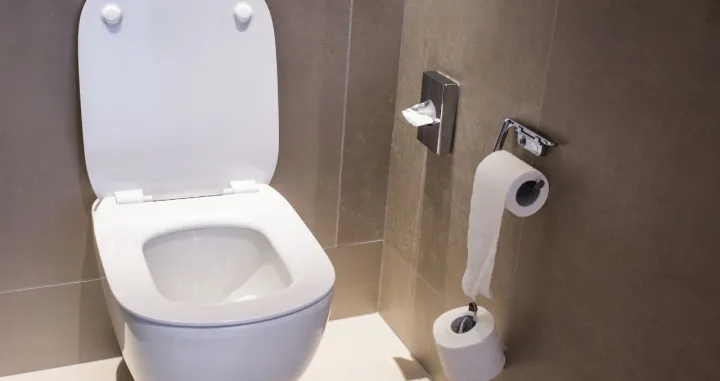 Općenito je potrebno izbjegavati bacati u WC &scaron;koljku bilo &scaron;to &scaron;to nije namijenjeno za otapanje u vodi/ Ilustracija/Canva/