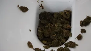 Oduzeti droga i novac/PU dubrovačko-neretvanska/