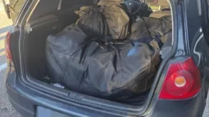 Akcija, MUP RS, Trebinje, droga/