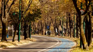 Boje jeseni galerija kraj oktobra/Damir Deljo