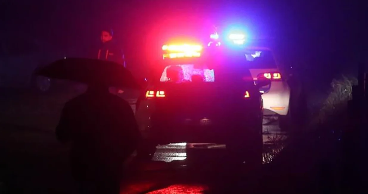 pucnjava ilustracija/Natasa Pusic