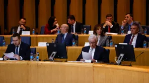 Dom naroda PSBiH sjednica/Damir Deljo