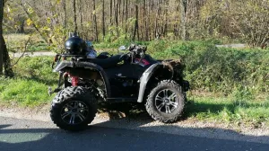 Quadom sletio sa puta/Ilustracija/