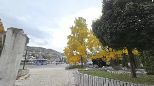 vrijeme, jesen, oblačno, tmurno/Lejla Sofradžija