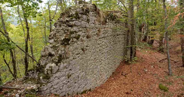 Ekipa Fondacije "Čuvari baštine – Bassania" tokom terenskog obilaska došla je do do sada zaboravljenog i neevidentiranog srednjovjekovnog utvrđenja, poznatog kao Barakov grad, na području općine Višegrad/