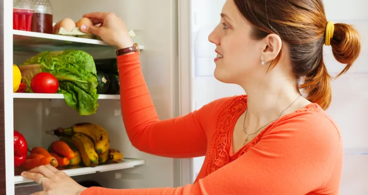 Pravilno skladištenje tople hrane razjašnjeno/Free Pik