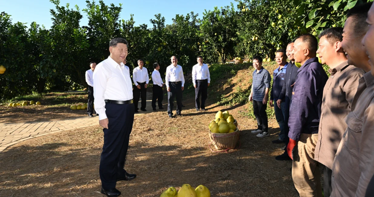 Xi Jinping, posjeta, poljoprivrednici/谢环驰