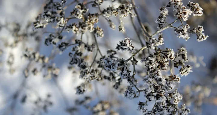 Zaštitite ih na vrijeme/Free Pik