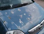 ptičji izmet automobil/
