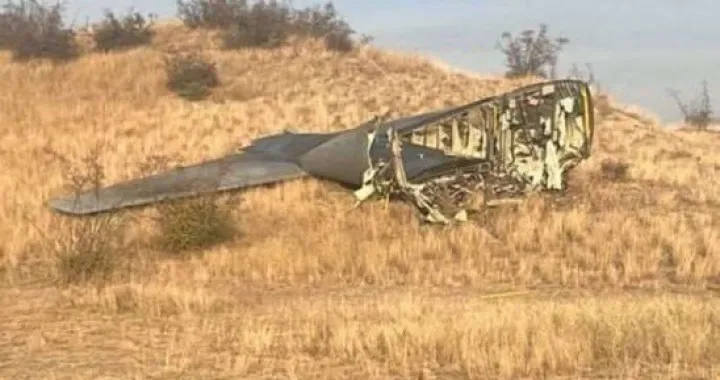 Srušio se avion/X.com//