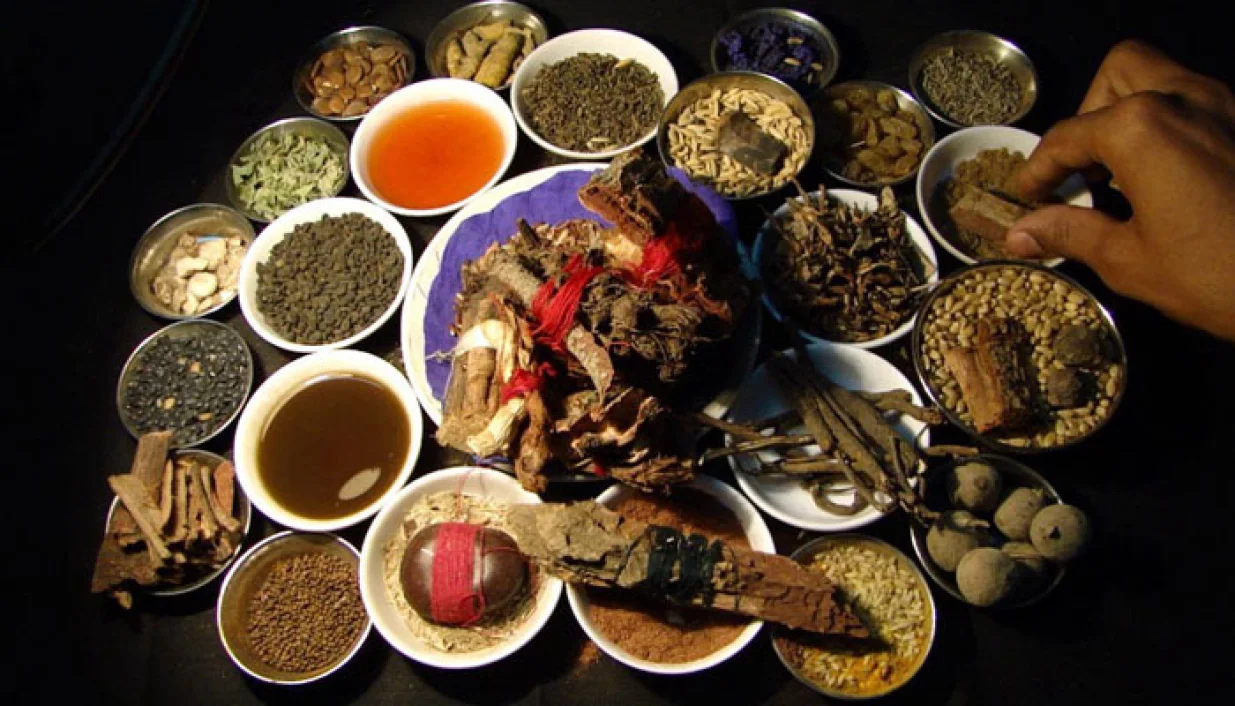 2- RIZNICA ZDRAVLJA: Na tibetanskoj visoravni Qinghai raste vi&scaron;e od 2.000 vrsta biljaka, živi 159 vrsta životinja i postoji 80 vrsta minerala za farmaceutsku proizvodnju, čineći tibetansku medicinu superiornom/