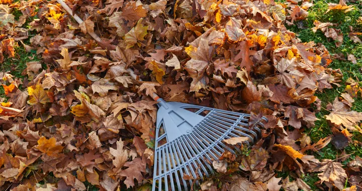 Našli smo rješenje/Free Pik