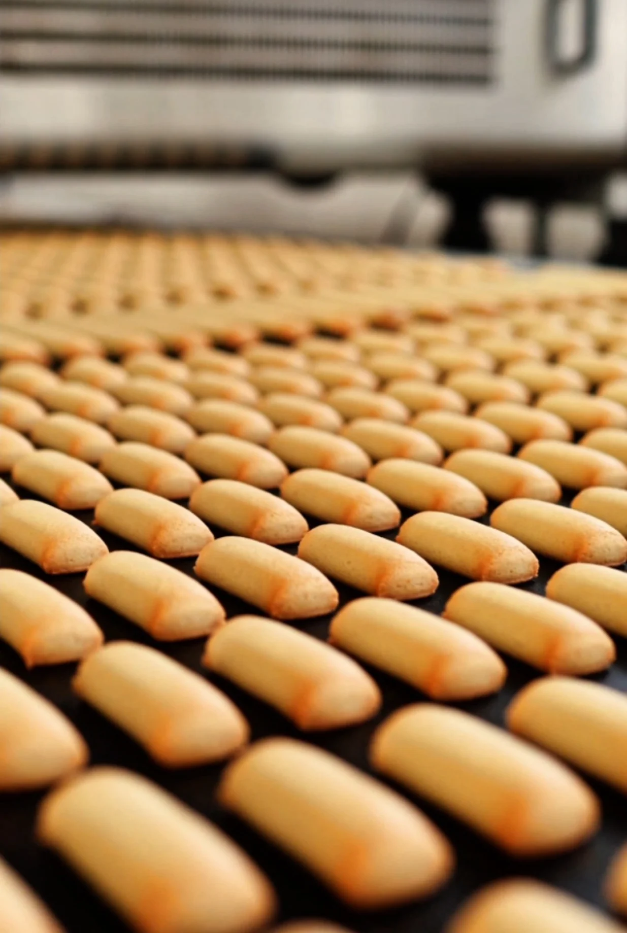 Bosanski lokum/Foto: Klas