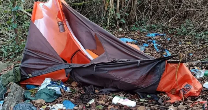 Maska, šuma, šokantno otkriće, smeće, lišće/Prtsc