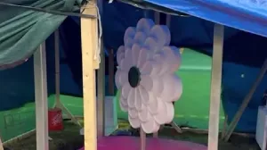 Cvijet Srebrenice ispred zgrade UN-a u New Yorku/Prtsc