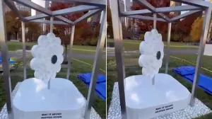 cvijet srebrenice u new yorku Screenshot/Screenshot