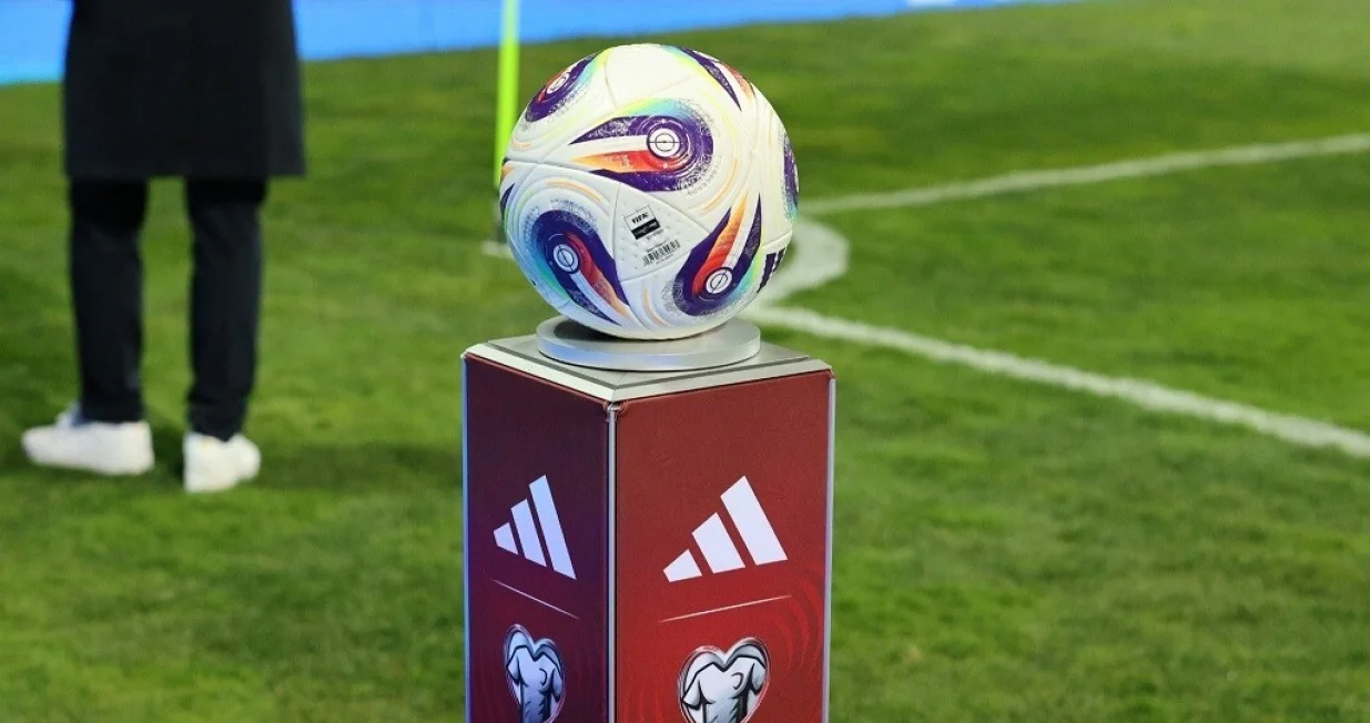 Lopta N/FS BiH/Foto: 