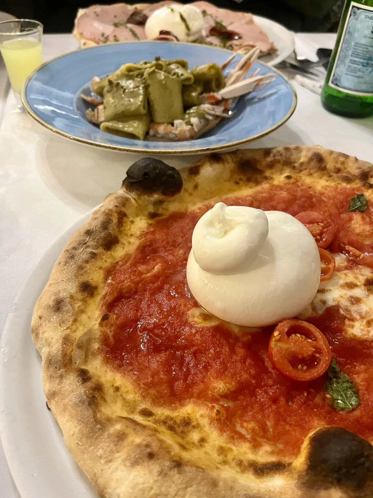 IQOS tim/Dženisa Zukančić