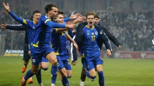 Detalj sa utakmice BiH - Rumunija (FOTO: Damir Deljo/Oslobođenje)/Foto: 