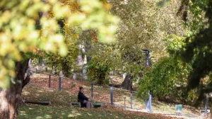 Oglasili se iz FHMZ/Ilustracija/Fena//