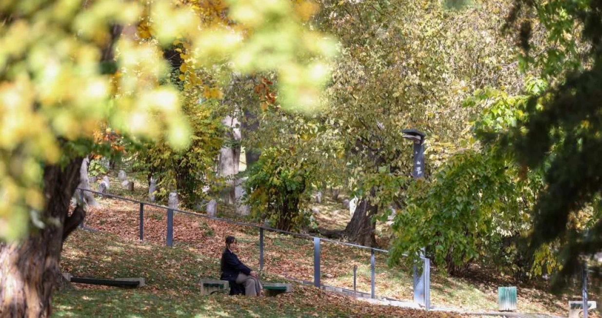 Oglasili se iz FHMZ/Ilustracija/Fena//