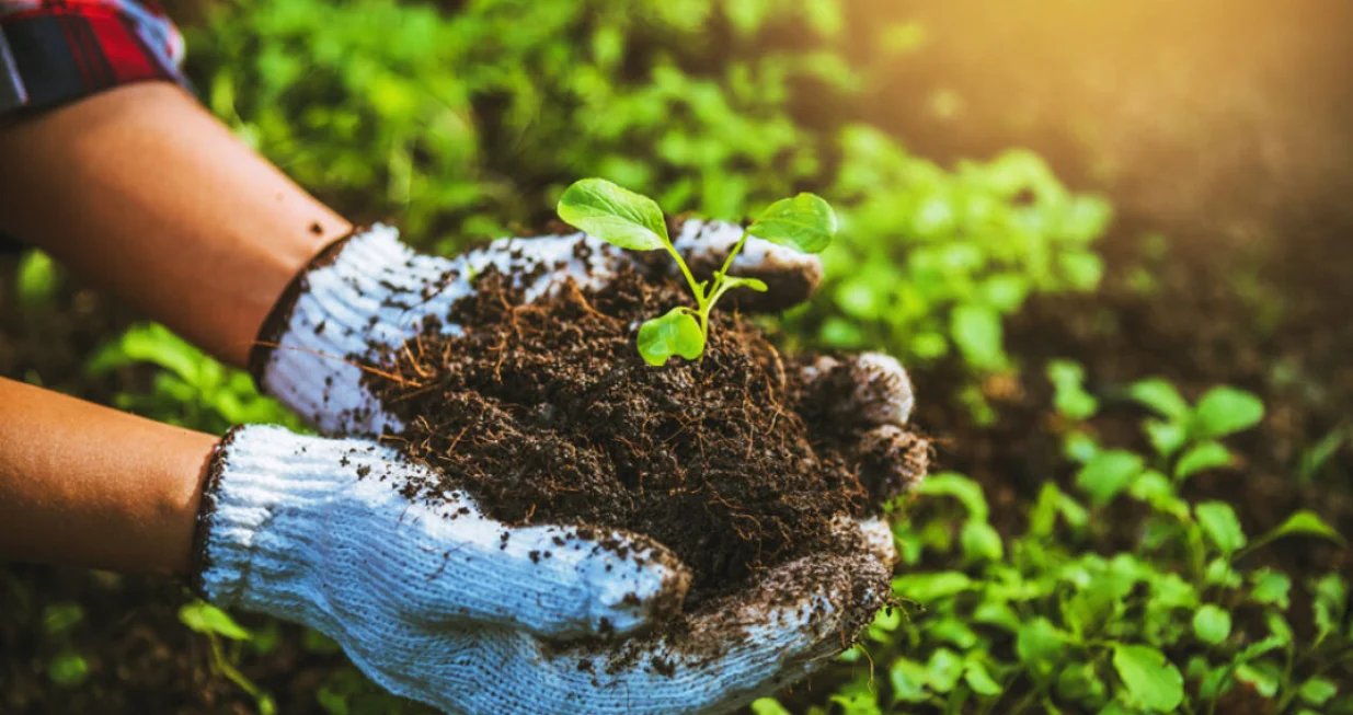 poljoprivreda razvoj ilustracija/