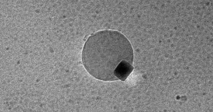 Balon koji izlazi iz paladija.Zasluge za sliku: Vinayak Dravid/Sjeverozapadni univerzitet/