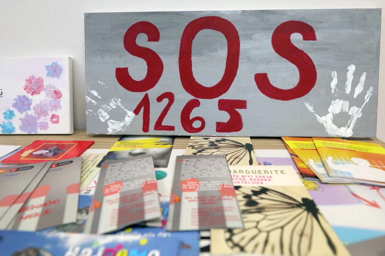 Sigurna kuća brošure/Senad Gubelić