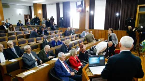 ANUBiH 30. godišnjica Dejtonskog mirovnog sporazuma/Damir Deljo