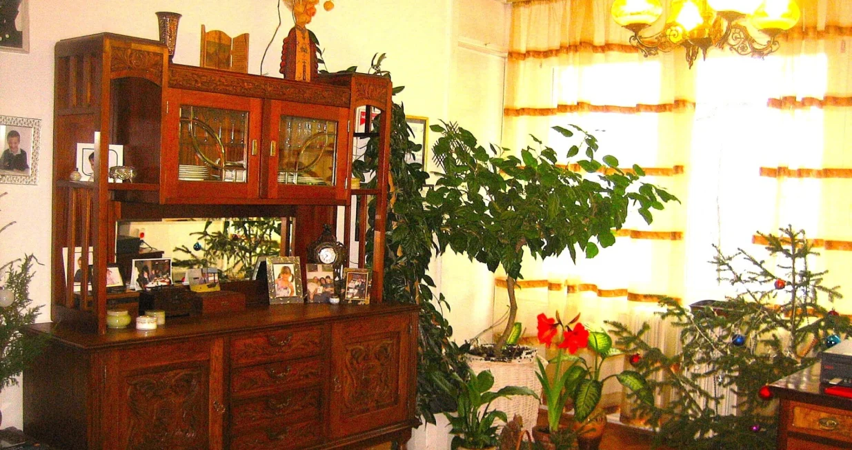 Život je ljep&scaron;i i zdraviji uz biljke/