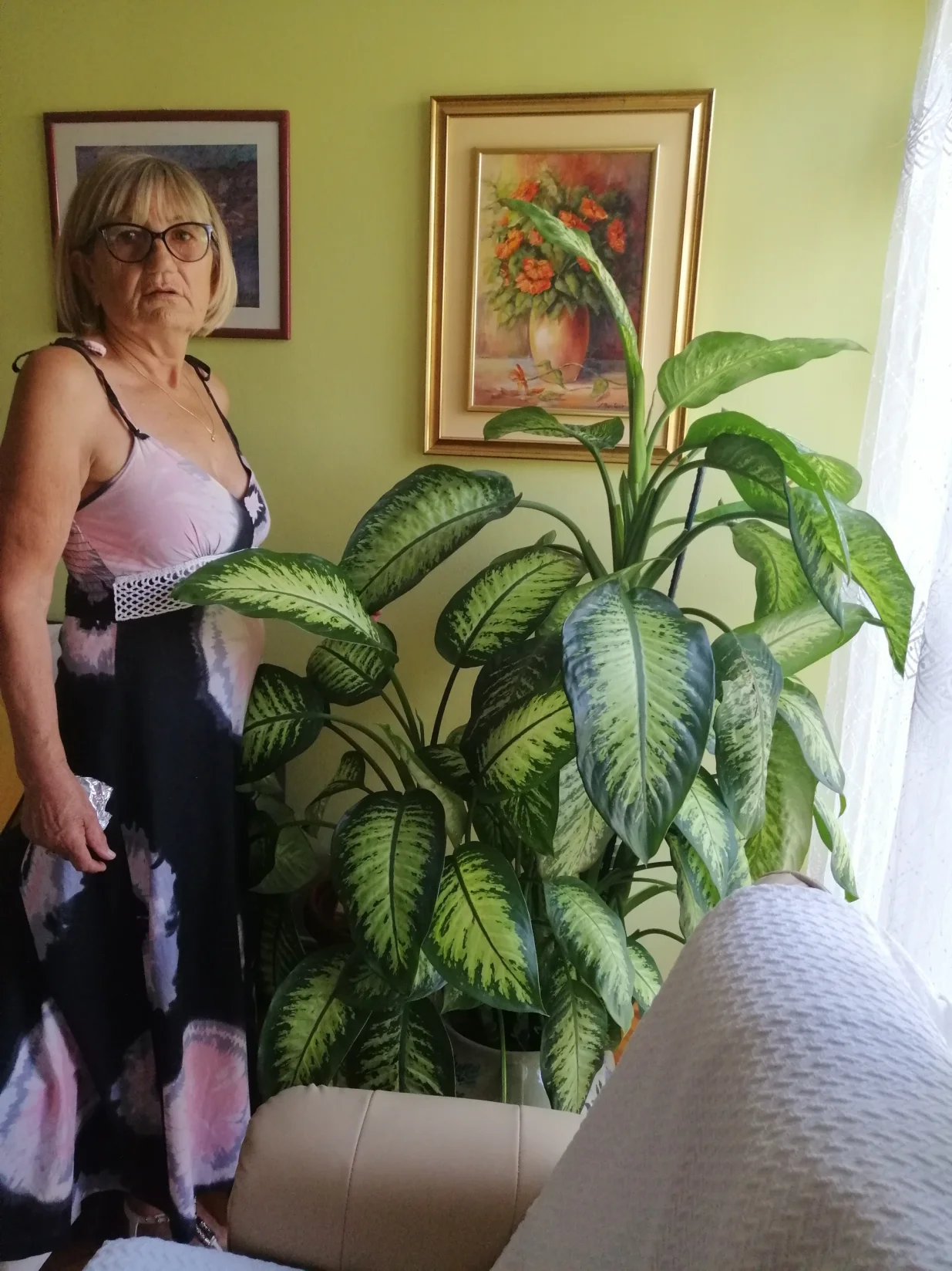 Difenbahija čisti i ukra&scaron;ava, ali pri radu oprez - otrovna je/