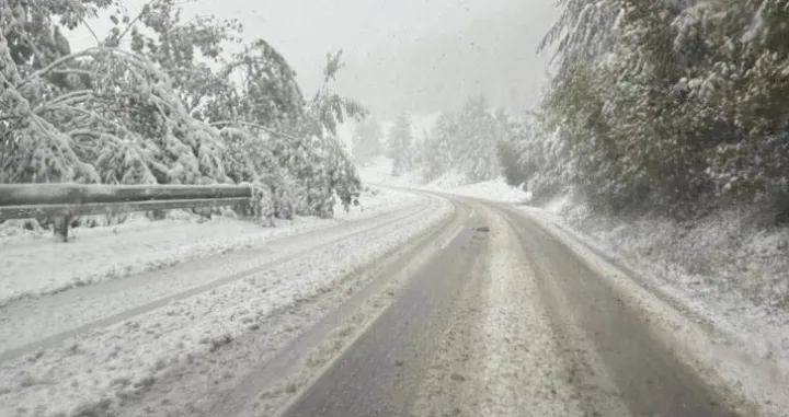 rogoj, obustavljen saobraćaj zbog snijega/Teretnjaci.ba/Facebook