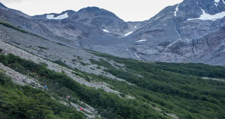 Torres del Paine/Ilustracija/X.com//