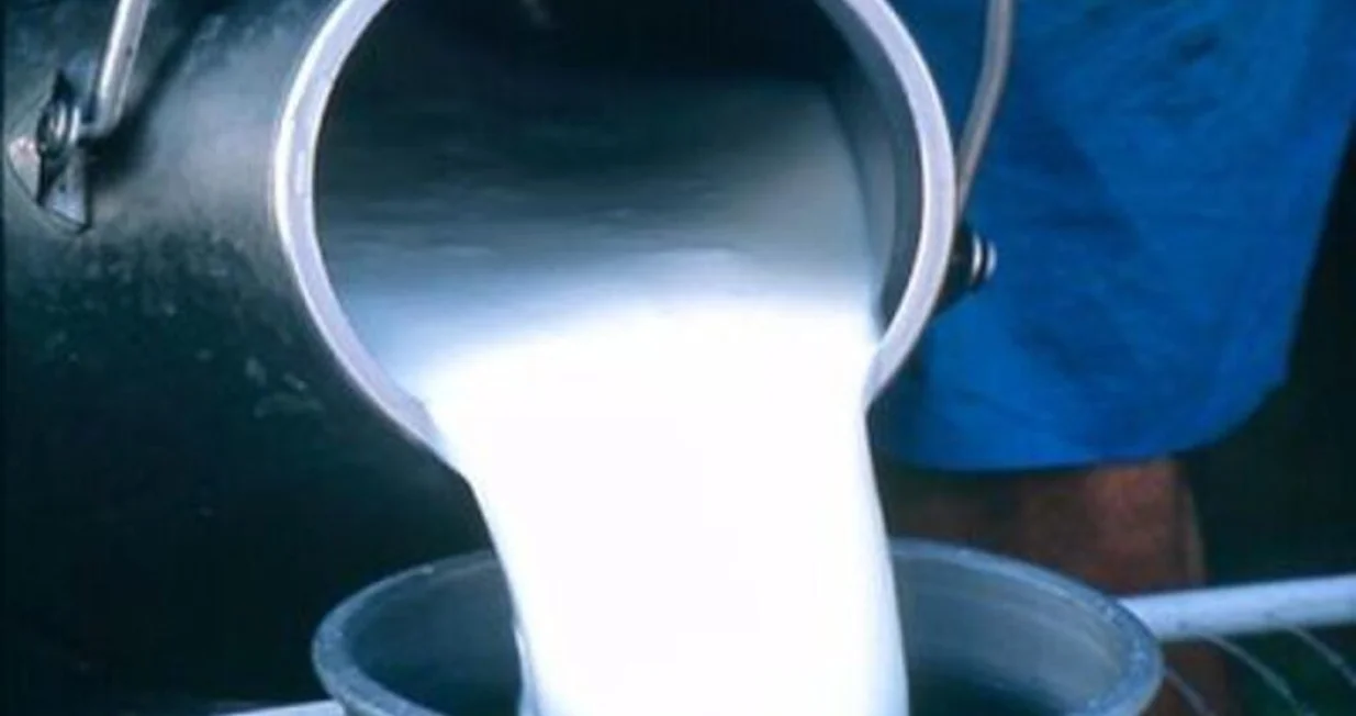 Mlijeko otkup mlijeka/