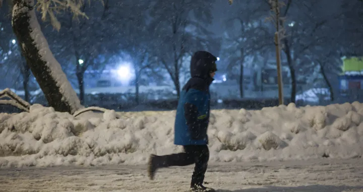 Snijeg po Vilsonovom/Damir Deljo